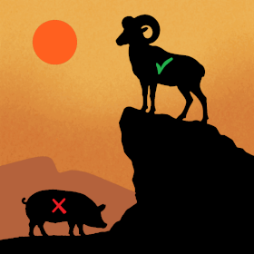 Bible Clean Animals Diet Bible Meat